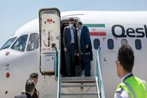 رئیس بنیاد شهید به نمایندگی از رئیس جمهور وارد کرمان شد