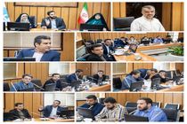 برنامه های شبکه جوانان رضوی در دهه کرامت