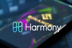 دلایل رشد قیمتی مجدد رمزارز شبکه  Harmony