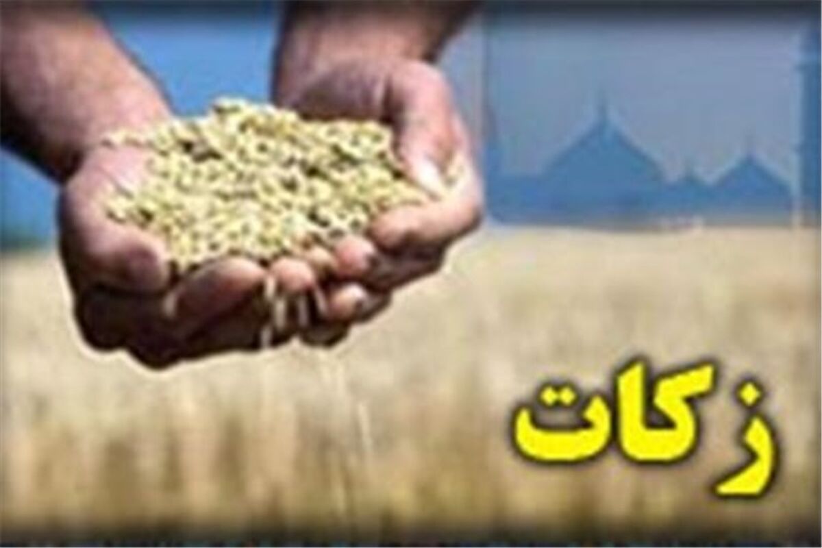مدیرکل امور اجرایی زکات کمیته امداد کشور