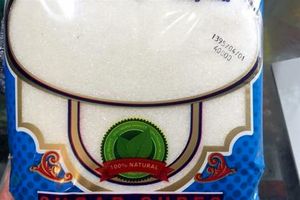 خجالت نمی‌کشم در سایه مسی باشم