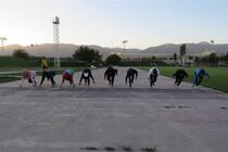 ۲۸ دو و میدانی کار پیوند اعضا در اردو