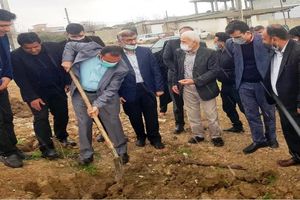 غرس 4 هزار اصله نهال در ساری