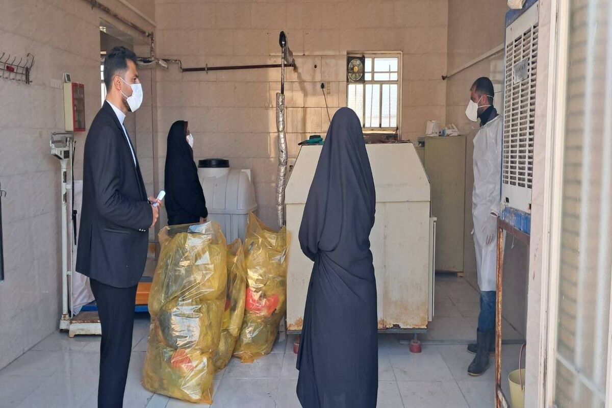 محیط زیست 