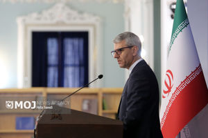 پیام تسلیت سخنگوی وزارت خارجه به خانواده‌های قربانیان هندی در عربستان