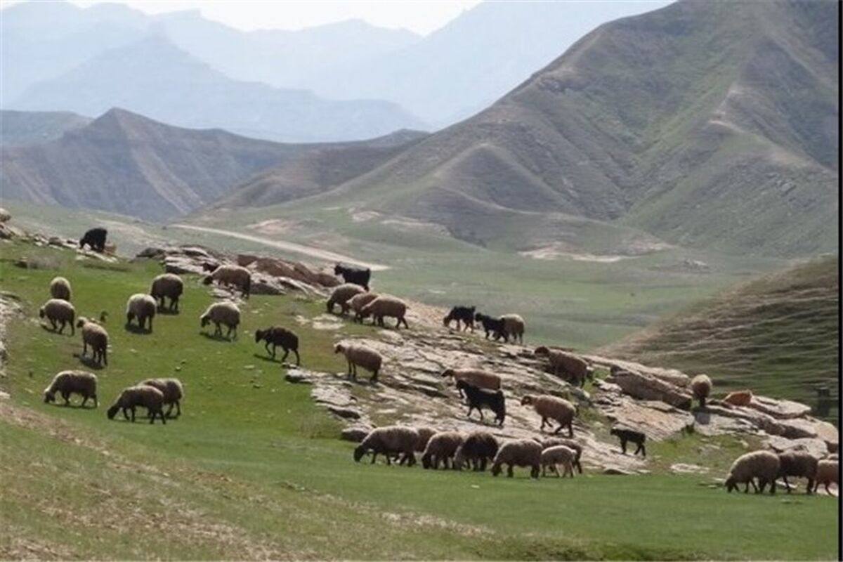 مراتع خراسان رضوی