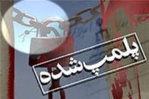 پلمب دو فروشگاه غیرمجاز سموم دفع آفات در بابل