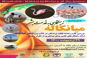 برگزاری همایش ملی بررسی علت تلفات پرندگان مهاجر در تالاب بین المللی میانکاله