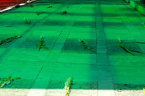 ساماندهی دو گلزار شهید در قم اتمام یافت