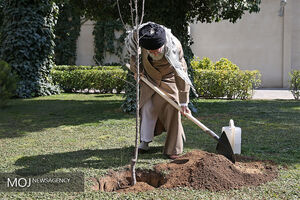 کاشت نهال توسط مقام معظم رهبری