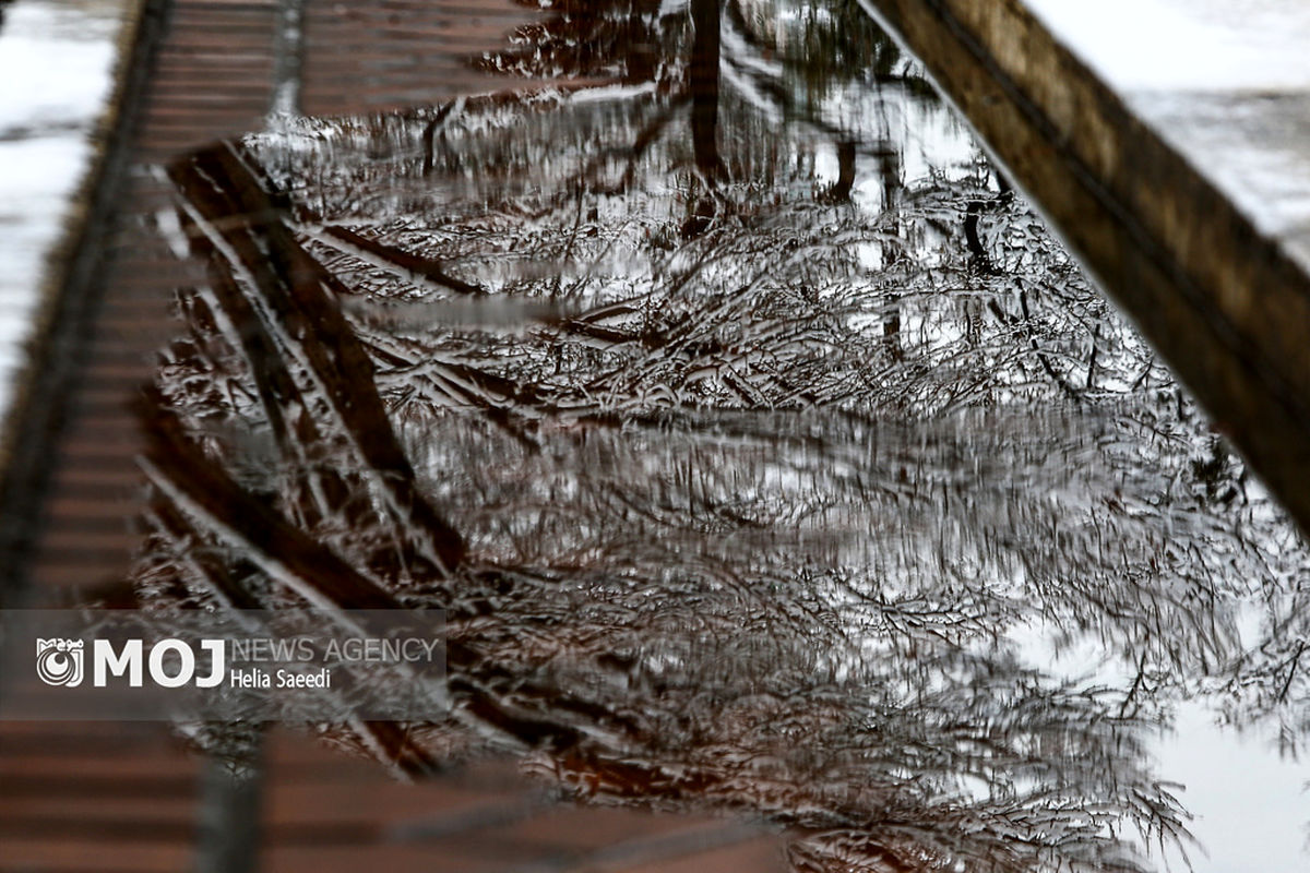 بارش برف در تهران