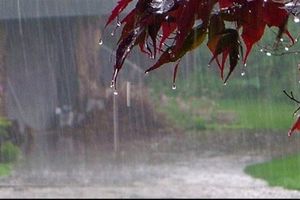 32 درصد کاهش بارش نسبت به سال قبل/ وضع بارشی در حوضه های ۶ گانه اصلی آبریز کشور