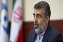 هنگامی که تمامی تحریم‌ها لغو شوند اطلاعات دوربین‌ها را در اختیار آژانس می‌گذاریم 