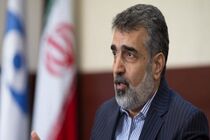 آمادگی کامل سازمان انرژی اتمی برای ادامه فعالیت