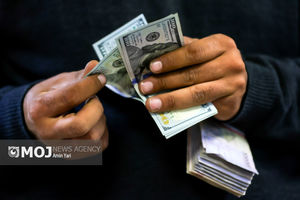 جدیدترین قیمت ارزها در بازار آزاد امروز ۱۰ بهمن ۱۴۰۴