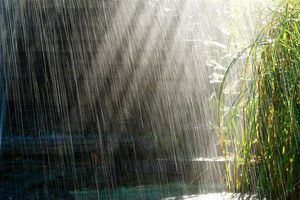 تداوم فعالیت سامانه بارشی و وزش باد شدید در تهران