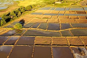 تعیین تکلیف ۵۰۰ پلاک کشاورزی در قم