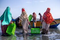 همایش بانوان صیاد برای اولین بار در کشور در هرمز برگزار می شود