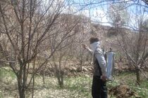 سازمان حفظ نباتات کشور نسبت به توزیع سموم قاچاق هشدار داد