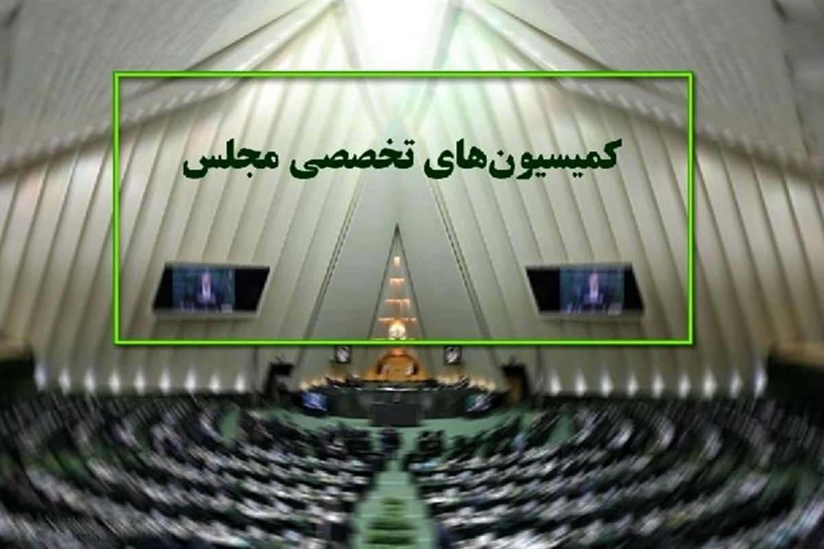 کمیسیون ‌های تخصصی مجلس