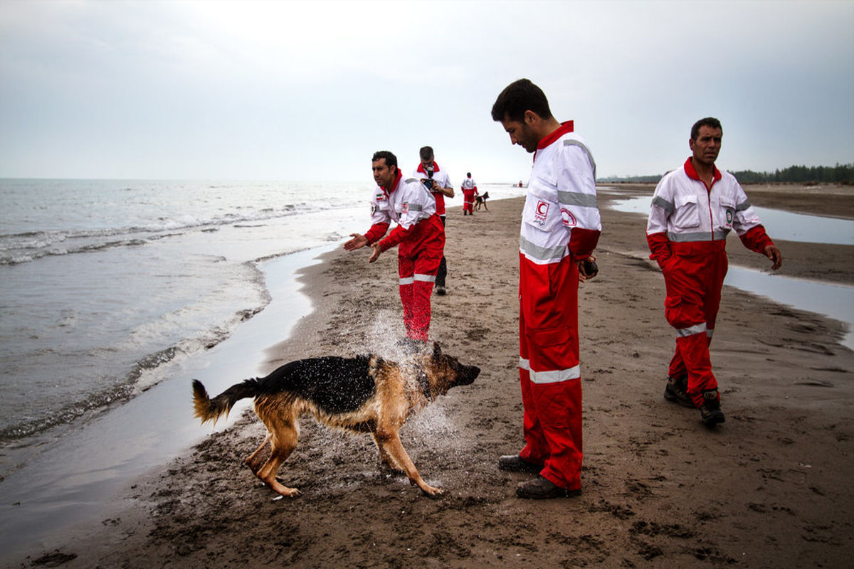 سگ های زنده یاب 