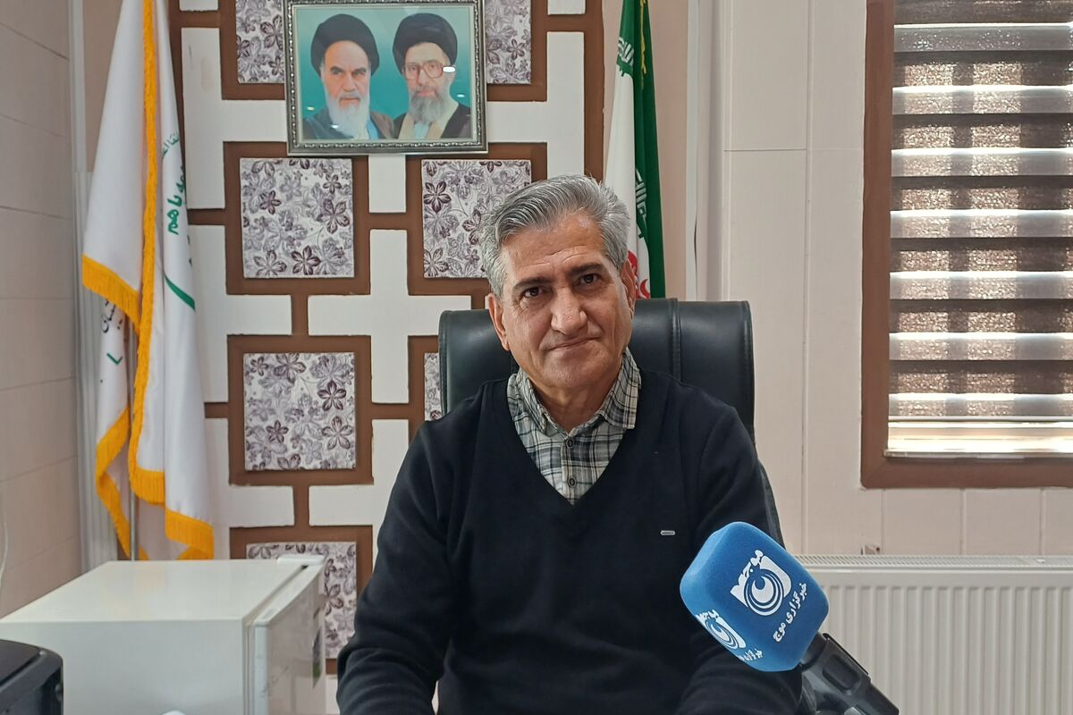 محمدی