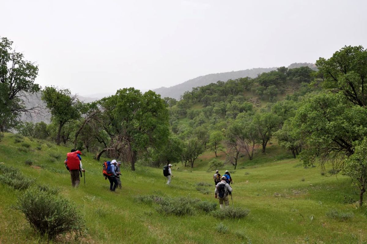 تور گردشگری