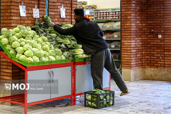 افتتاح چهار بازار میوه و تره بار در تهران