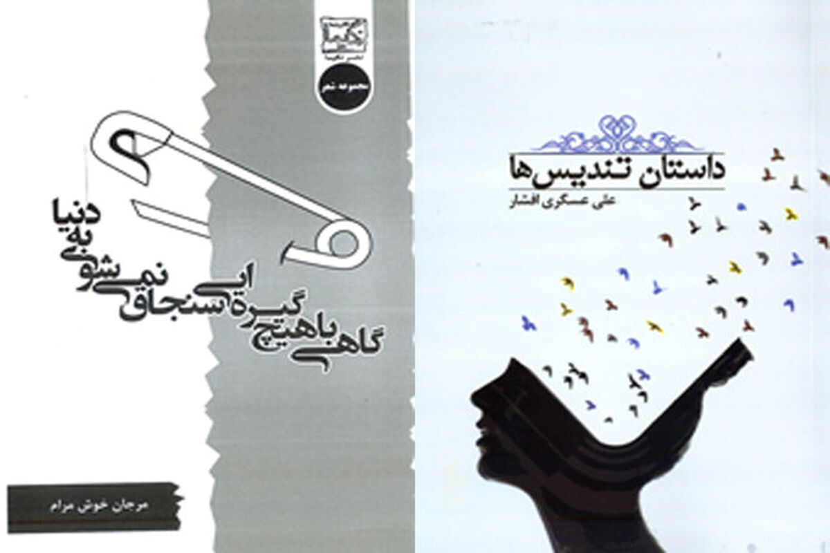 جلد کتاب داستان تندیس ها