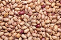 کشف و توقیف محموله میلیاردی لوبیای قاچاق در اصفهان