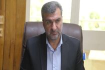 تمهیدات لازم برای تأمین پایدار نان مورد نیاز استان ایلام ادامه دارد