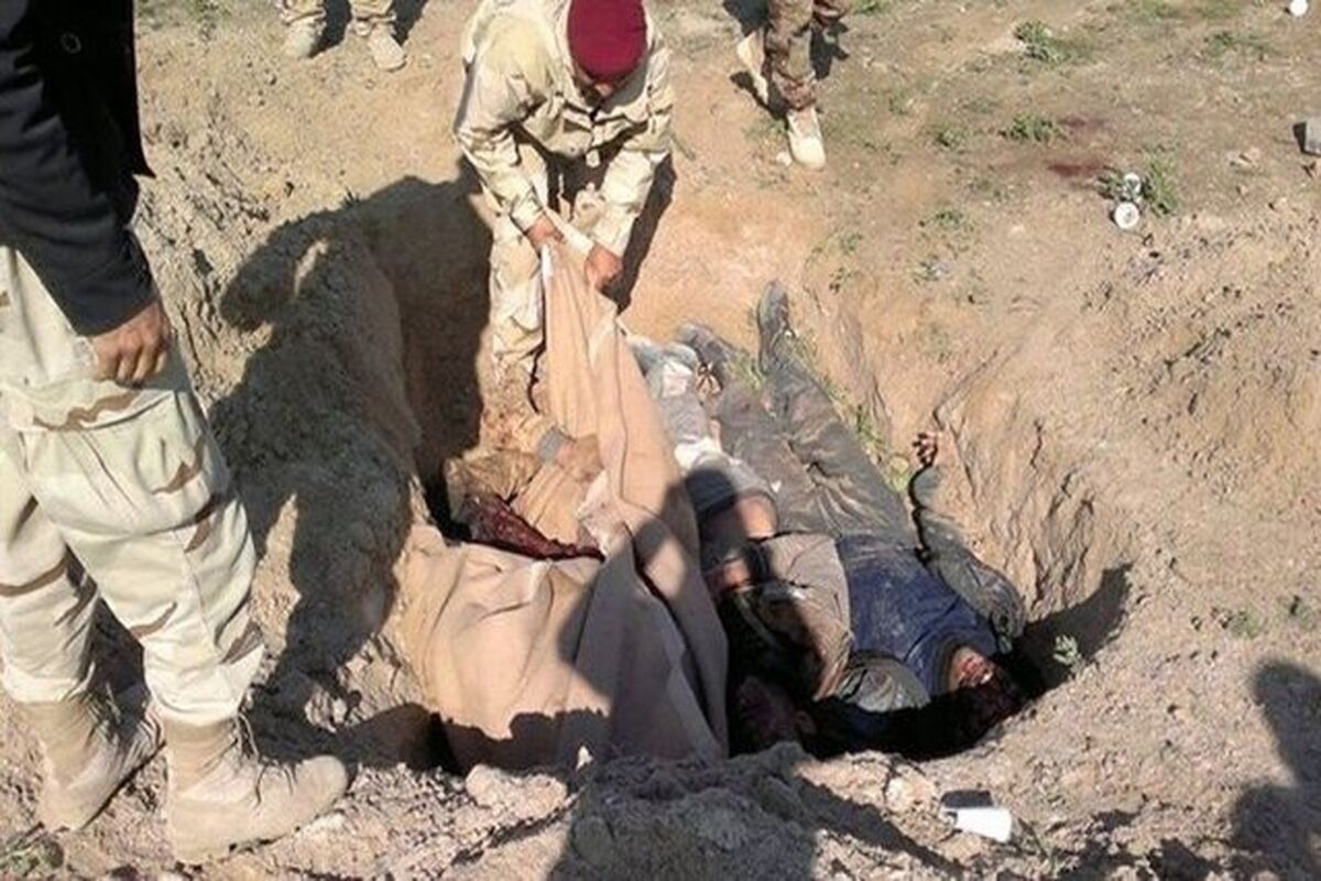 داعش
