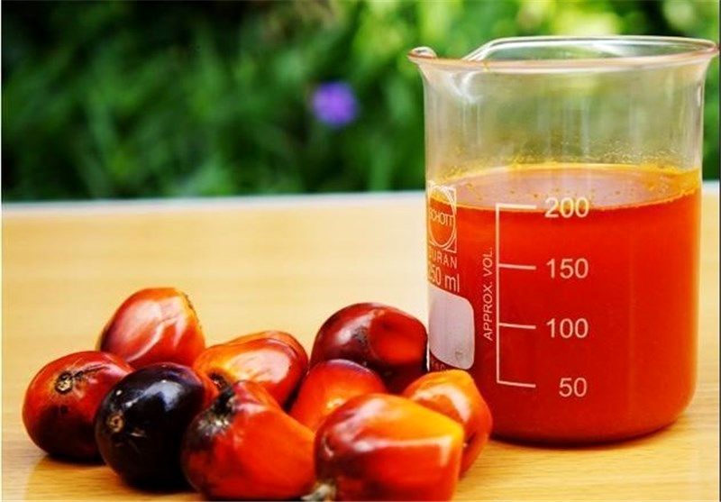 عنوان روغن گیاهی؛ واقعیت روغن پالم/واقعیت های درباره عوارض استفاده از روغن پالم