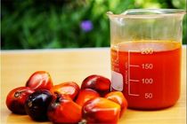روغن پالم با عنوان روغن گیاهی/عوارض استفاده از روغن پالم