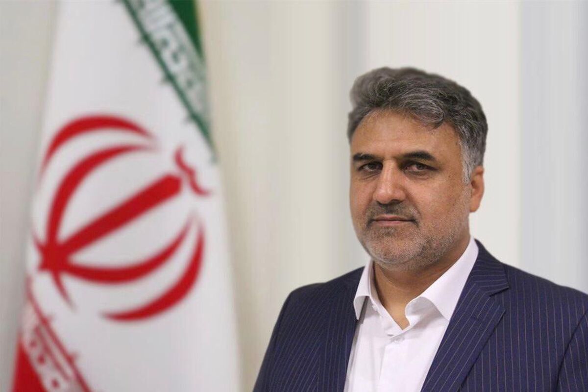 مدیرکل تعزیرات هرمزگان