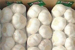 کشف 8 تن سیر قاچاق در بستک