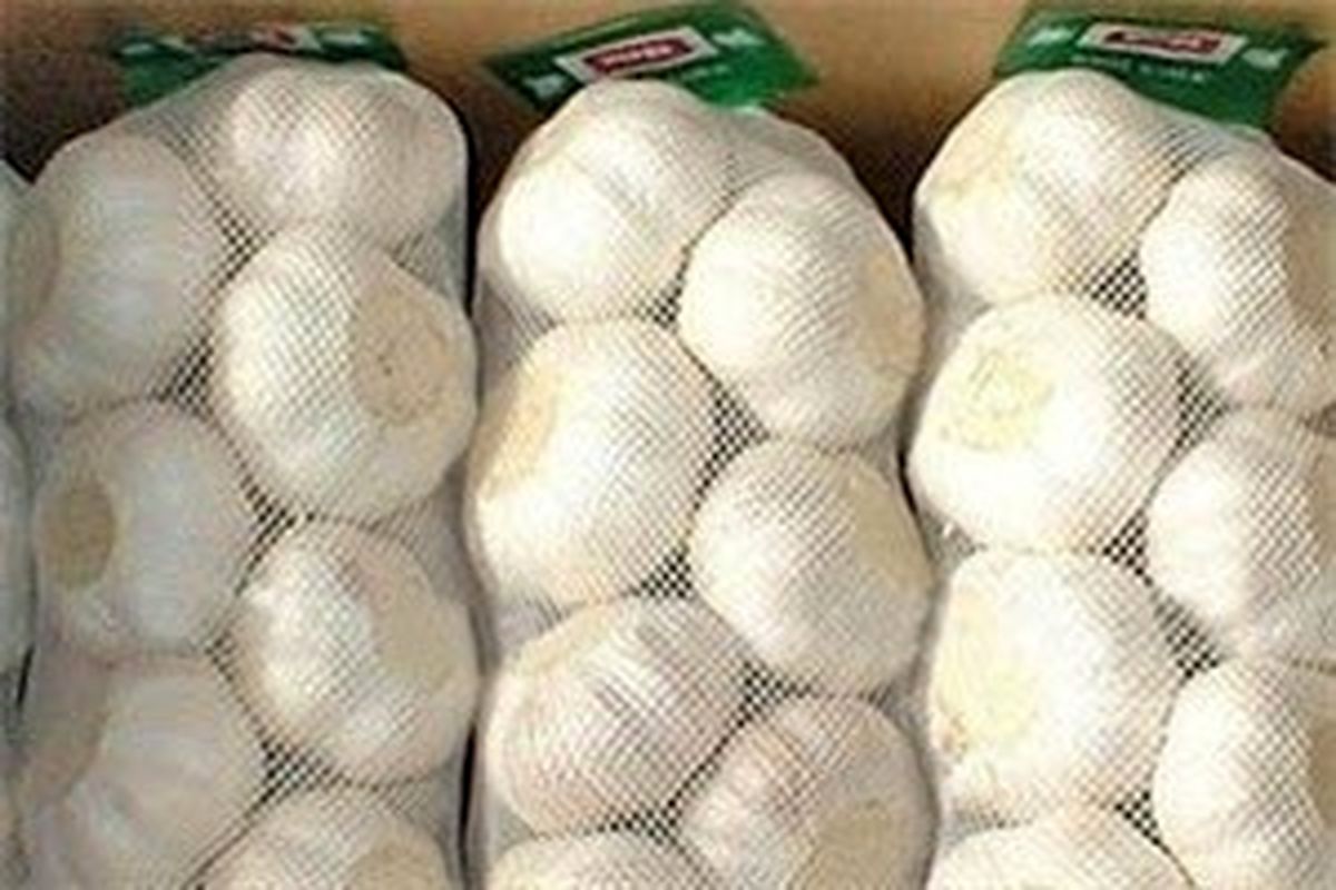 سیر قاچاق