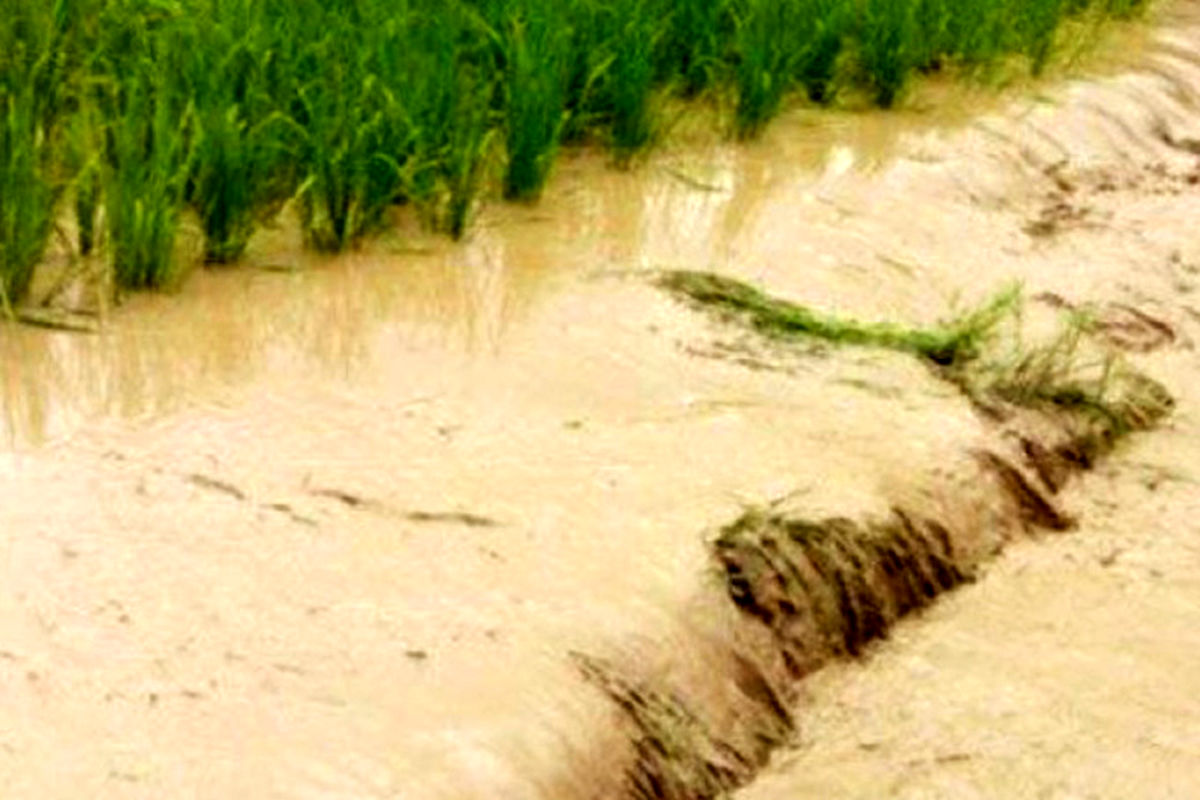 خسارت سیلاب