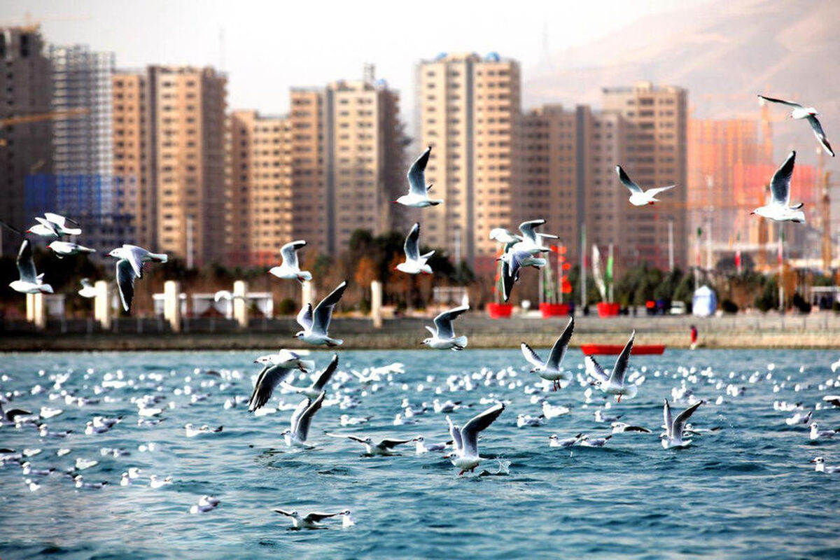 دریاچه شهدای خلیج فارس