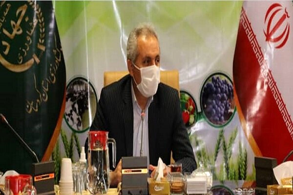 محمد فرید سپری