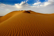 جستجو برای یافتن  تنها گمشده کویر مرنجاب همچنان ادامه دارد