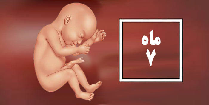 راهنمای کامل ماه هفتم بارداری/ دغدغه ها و مراقبت های ماه هفتم بارداری چیست؟