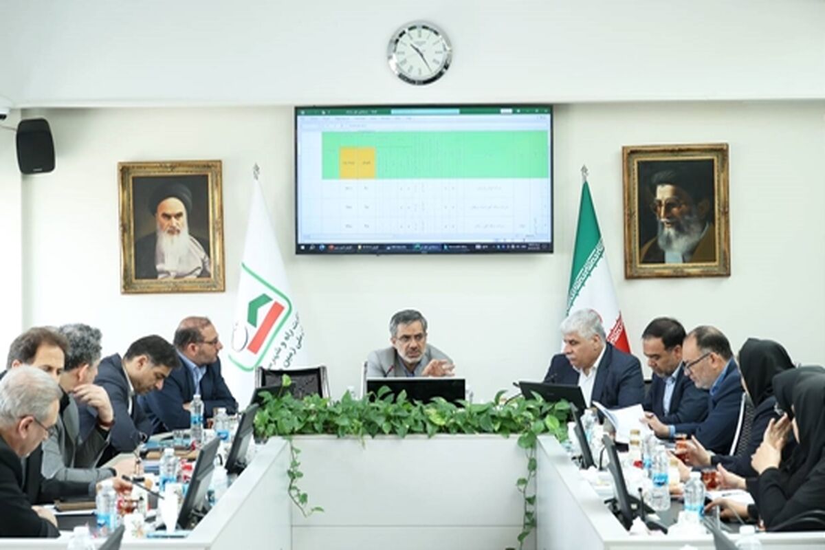 مدیر عامل سازمان ملی زمین و مسکن