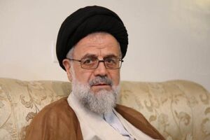 قوه قضاییه بی دلیل به موضوع حزب اعتماد ملی ورود نکرده است