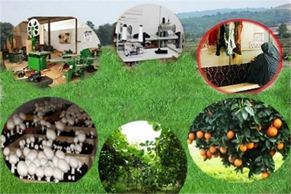 کمیته امداد مازندران