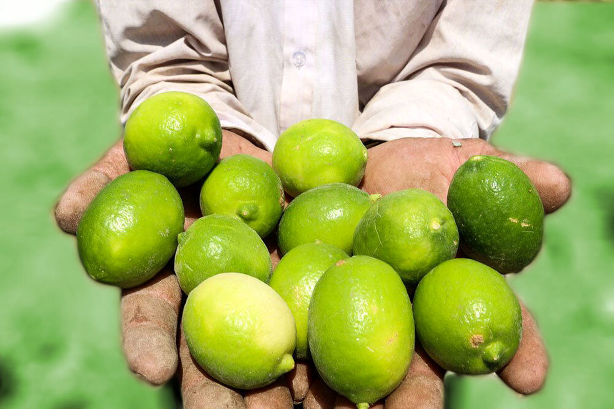 خرید توافقی لیمو ترش