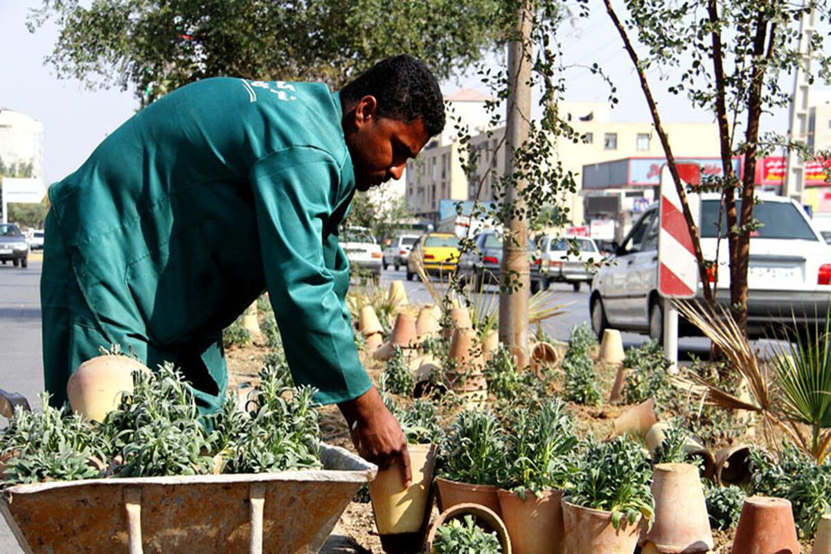 نهال
