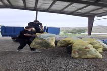 پاکسازی منطقه گردشگری آبشور شهرستان لالی توسط دوستداران محیط زیست