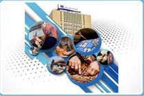 ​ایجاد ٩٦٠٠ شغل خانگی با ٤١٠٠ میلیارد ریال تسهیلات بانک صادرات ایران