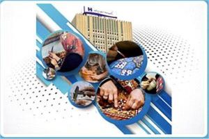 ​ایجاد ٩٦٠٠ شغل خانگی با ٤١٠٠ میلیارد ریال تسهیلات بانک صادرات ایران